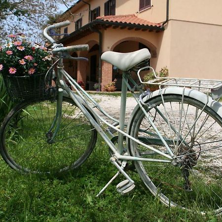 Agriturismo Diciocco Venturina Terme Buitenkant foto