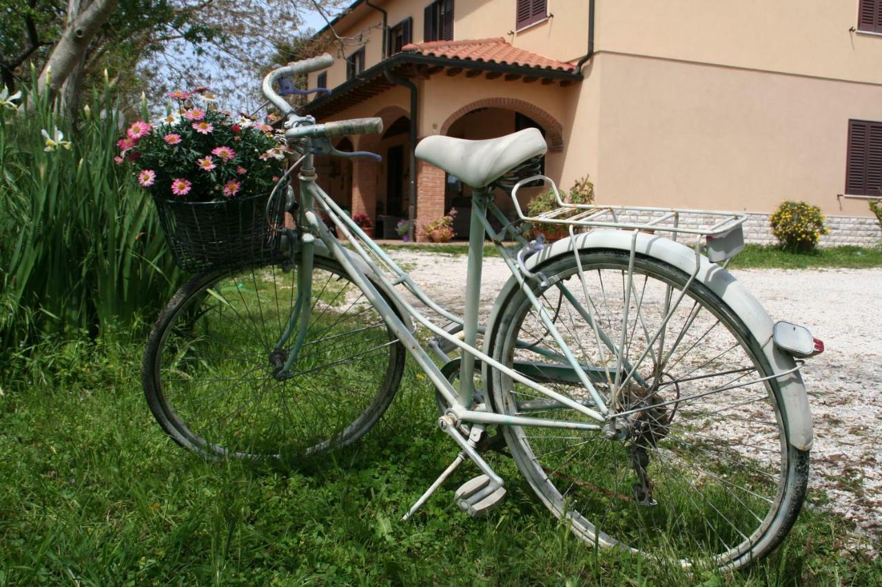Agriturismo Diciocco Venturina Terme Buitenkant foto