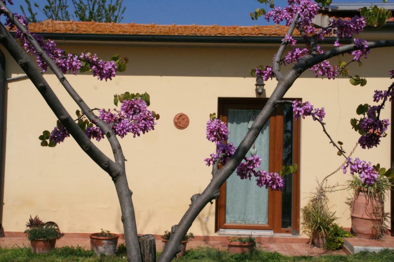 Agriturismo Diciocco Venturina Terme Buitenkant foto