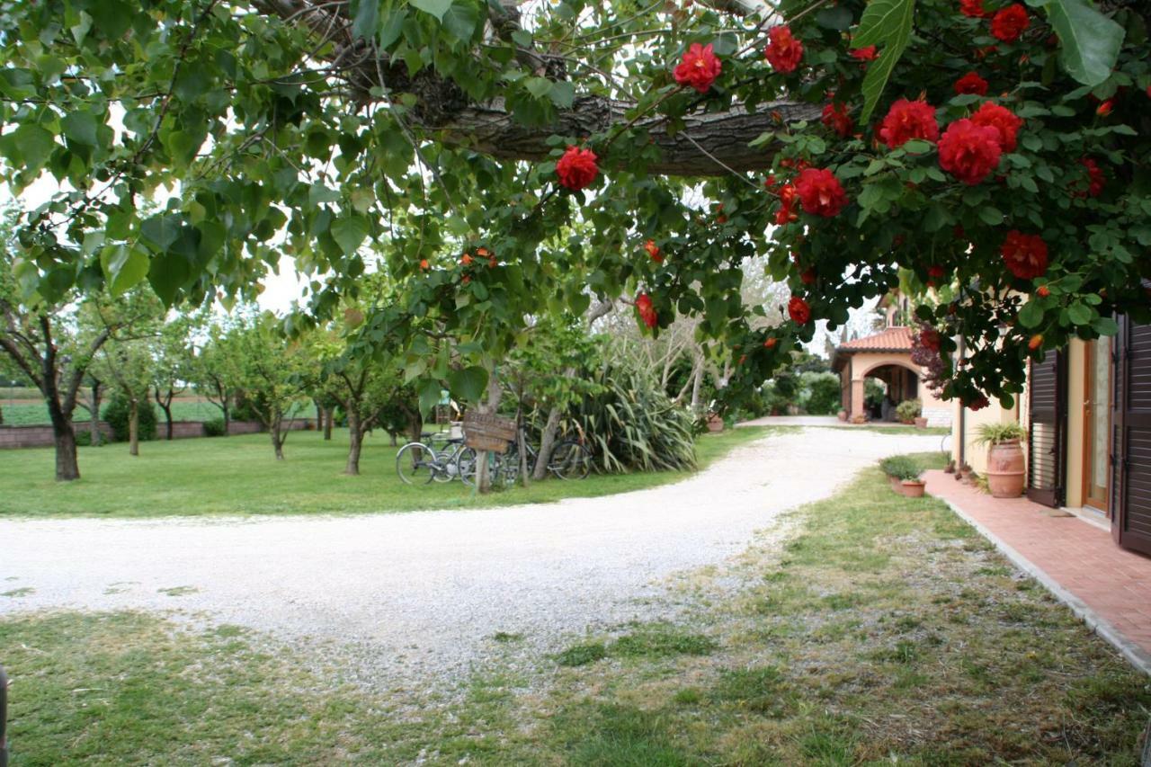 Agriturismo Diciocco Venturina Terme Buitenkant foto